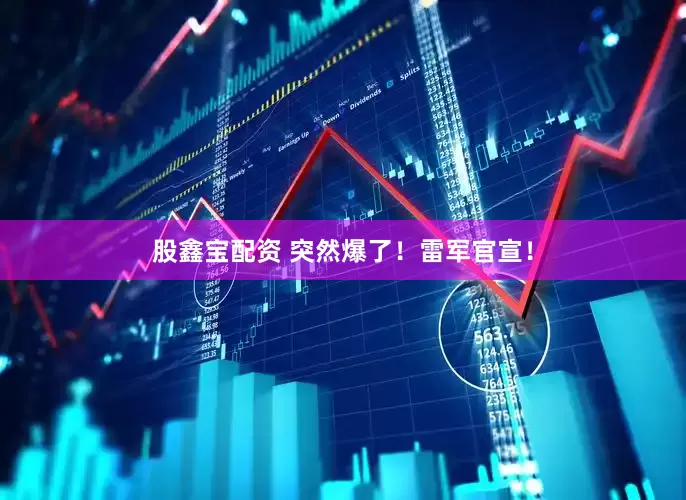 股鑫宝配资 突然爆了！雷军官宣！